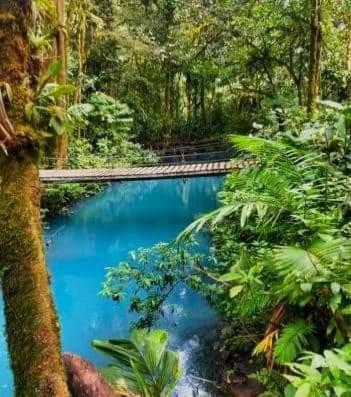 Cabinas El Pilon Rio Celeste Bagian luar foto
